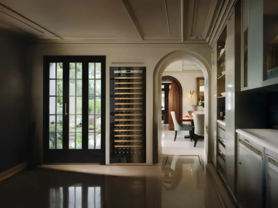 Design wine cellar big capacity black built in a kitchen with silver glass door in a design kitchen